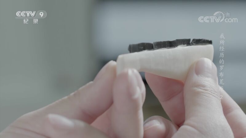 我所经历的罗布荒原 《我所经历的罗布荒原》 第二集 无人区