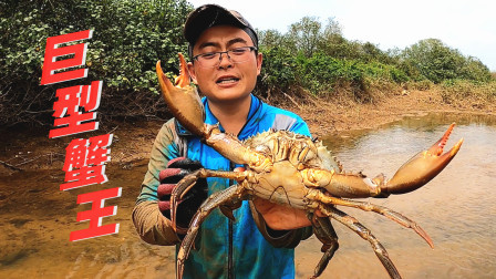 思乡渔夫赶海 赶海发现个大尺寸蟹洞，抓出罕见“蟹王”，把渔夫乐坏了