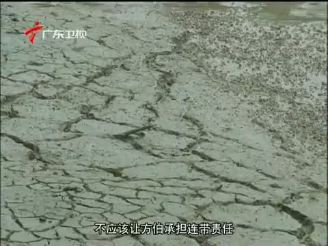 法眼 《法眼》 20150411 天价污染罚单