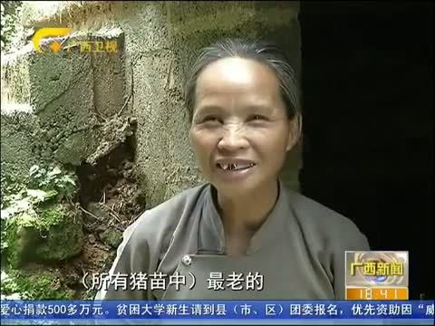 广西新闻 《广西新闻》 20140803