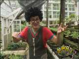 芝麻开门【央视】 芝麻开门 2010年 第251期