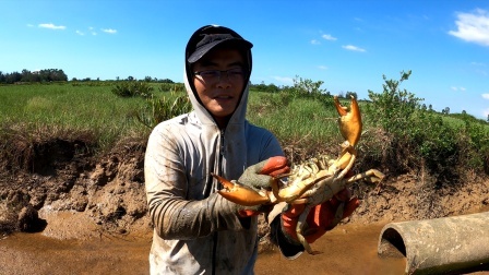 思乡渔夫赶海 废弃养殖场捡漏有多爽？大螃蟹跟白捡似的，渔夫笑得合不拢嘴