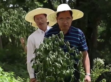 致敬中国种业科学家（二）