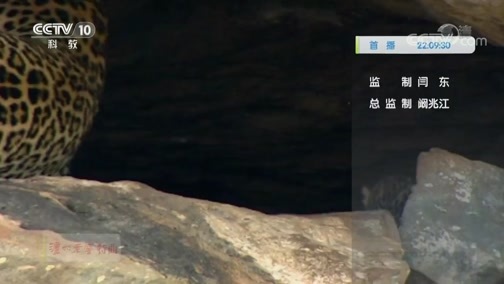 自然传奇 《自然传奇》 20200415 非洲致命动物