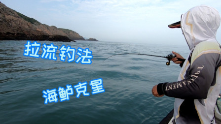 拉流钓法是钓海鲈鱼最具杀伤力的钓法，看阿杰用一下午钓了多少
