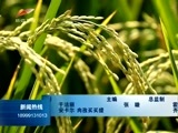 新疆新闻联播 《新疆新闻联播》 20170311