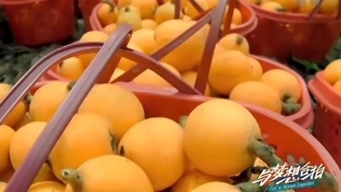 与梦想合拍 “Q哥”的“Q果梦”