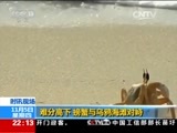 国际时讯 《国际时讯》 20151105