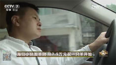 致富经 [致富经]海归小伙发羊财 从7.5万元买一只羊开始 20161129