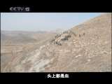 天网 天网 2010年 第153期 死亡台阶