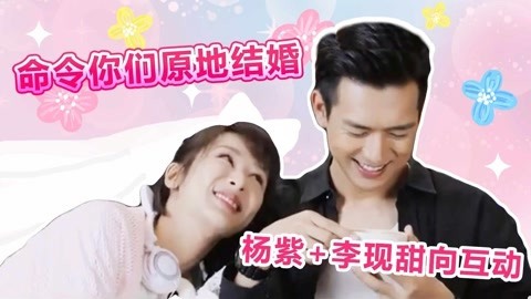 话很多的小姐姐们 杨紫李现沙雕甜向互动