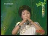 风华国乐 风华国乐 2010年 第95期