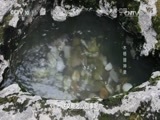 地理中国 《地理中国》 20160603 木格措神泉