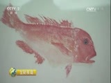 生财有道 《生财有道》 20170802 生态中国系列（沿海行）——浙江舟山：海岛味道富渔家
