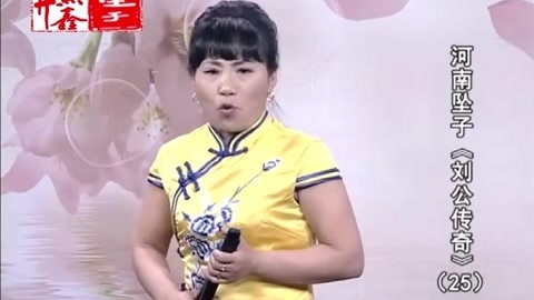 河南坠子 坠子《刘公传奇》胡银花