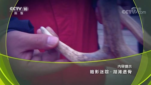 地理中国 《地理中国》 20190823 暗影迷踪·湖滩遗骨