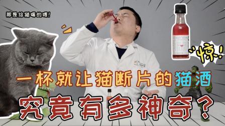 试喝一杯就让猫咪断片的神秘猫酒 是什么味道