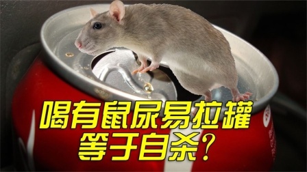 流言终结篇第三季 流言终结者：如果易拉罐上有老鼠尿，直接喝下去会一命呜呼吗