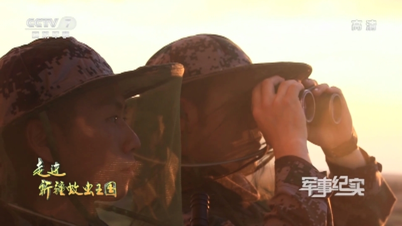 《军事纪实》 20210825 走进新疆蚊虫王国