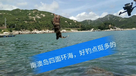南澳岛赶海日记 好几天没海鲜吃彪哥去钓鱼，南澳岛四面环海，要找个好钓点并不难