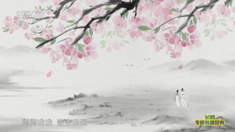 《诗美成都》 第4集 薛涛的房间