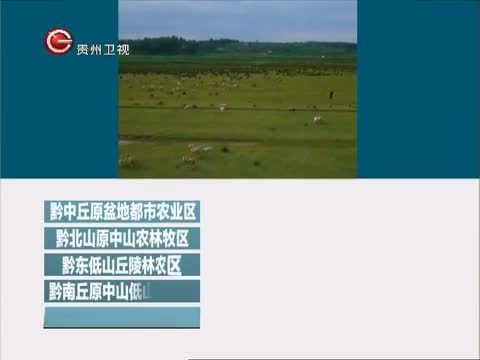贵州新闻联播 《贵州新闻联播》 20140612