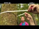 芝麻开门【央视】 《芝麻开门》 20150209 心里有数特别节目 我和秦岭有个约会（4）探测森林