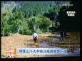海峡两岸 [视频]阿里山小火车部分线路恢复行驶