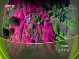 地理中国 《地理中国》 20171231 四季中国·冬藏人间