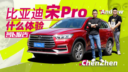 萝卜报告 2020 陈震的助理：杜鲁鲁升职记
