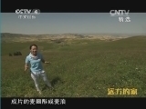 远方的家 《远方的家》 20141011 边疆行（78）：丝路古城金奇台