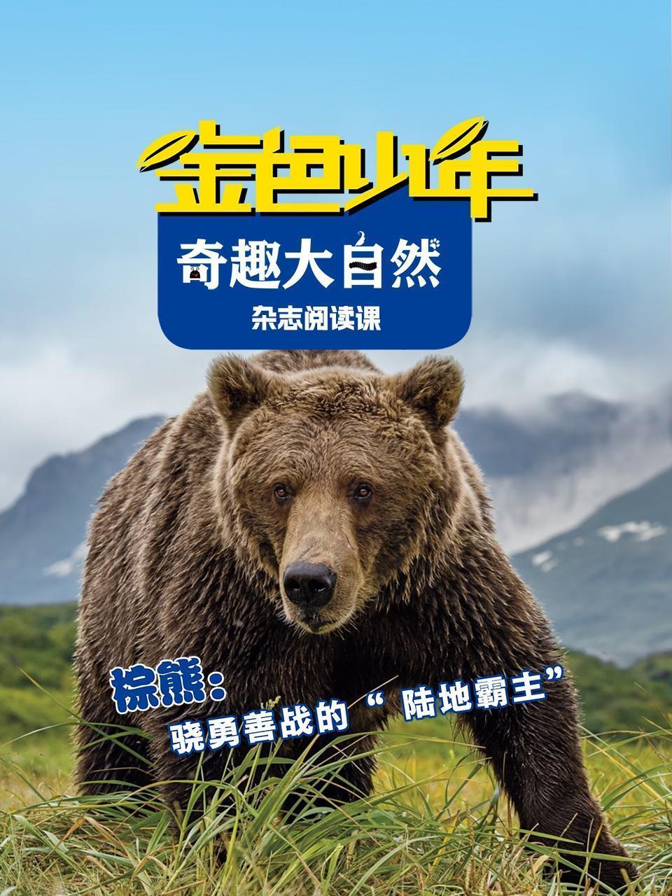 金色少年奇趣大自然：骁勇善战的“陆地霸主”棕熊