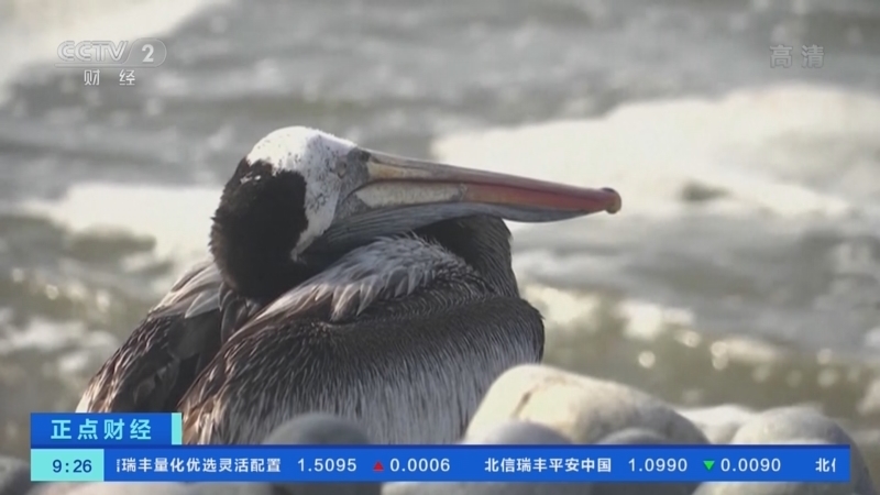 正点财经 《正点财经》 20221207 09:00