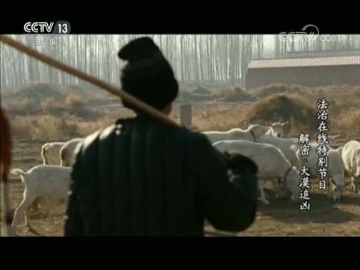 法治在线 《法治在线》 20190206