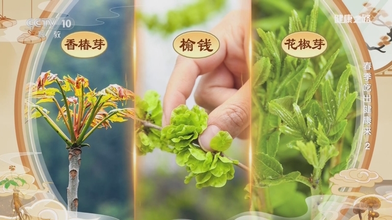 《健康之路》 20260408 春季吃出健康来 2