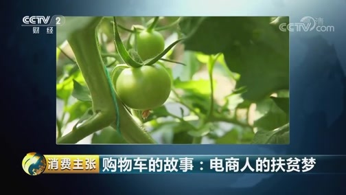 消费主张 《消费主张》 20181107 购物车的故事：电商人的扶贫梦
