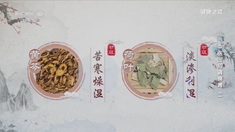 健康之路 《健康之路》 20230128 中医出招调脾胃（二）
