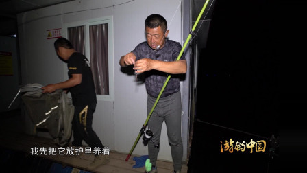 正准备睡觉的大毛老师惊喜的收获目标鱼