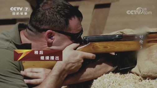 兵器面面观 《兵器面面观》 20191013 好枪5