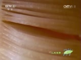 人与自然 《人与自然》 20150923 自然发现：与猛兽同行-水中猛兽