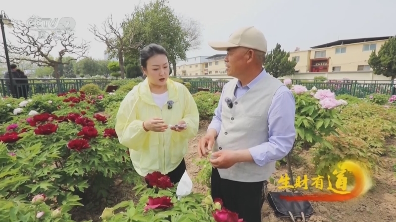 生财有道 《生财有道》 20240423 花开富贵觅新路