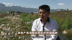 致富经 [致富经]房地产商变身花痴后的财富传奇 20160719