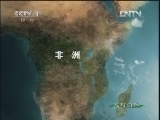 人与自然 《人与自然》 20121219 自然发现 狂野非洲—雨林世界（上）