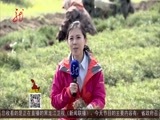 全省新闻联播 《全省新闻联播》 20160516
