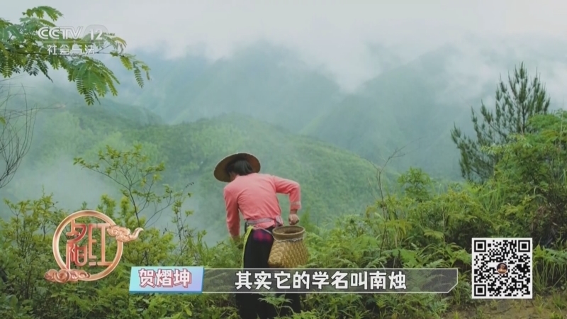 《夕阳红》 20260227 活力食谱——能量加油站