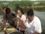 生财有道 《生财有道》 20160606 生态中国系列——纳林湖边生态财