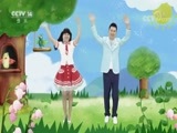 小小智慧树 《小小智慧树》 20180620