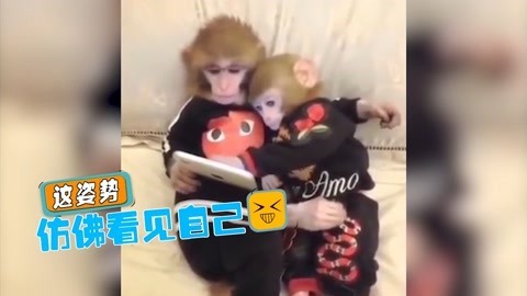 欢乐囧图 动物如何恶搞人类