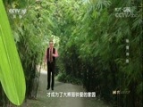 地理中国 《地理中国》 20180226 秘境追踪·秘境神鱼