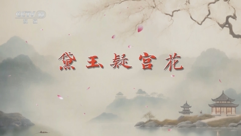 百家讲坛 《百家讲坛》 20241013 红楼名场面（第一部） 6 黛玉疑宫花